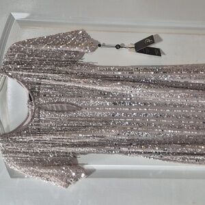 Adrianna Papell Sparkling Sequin Dress